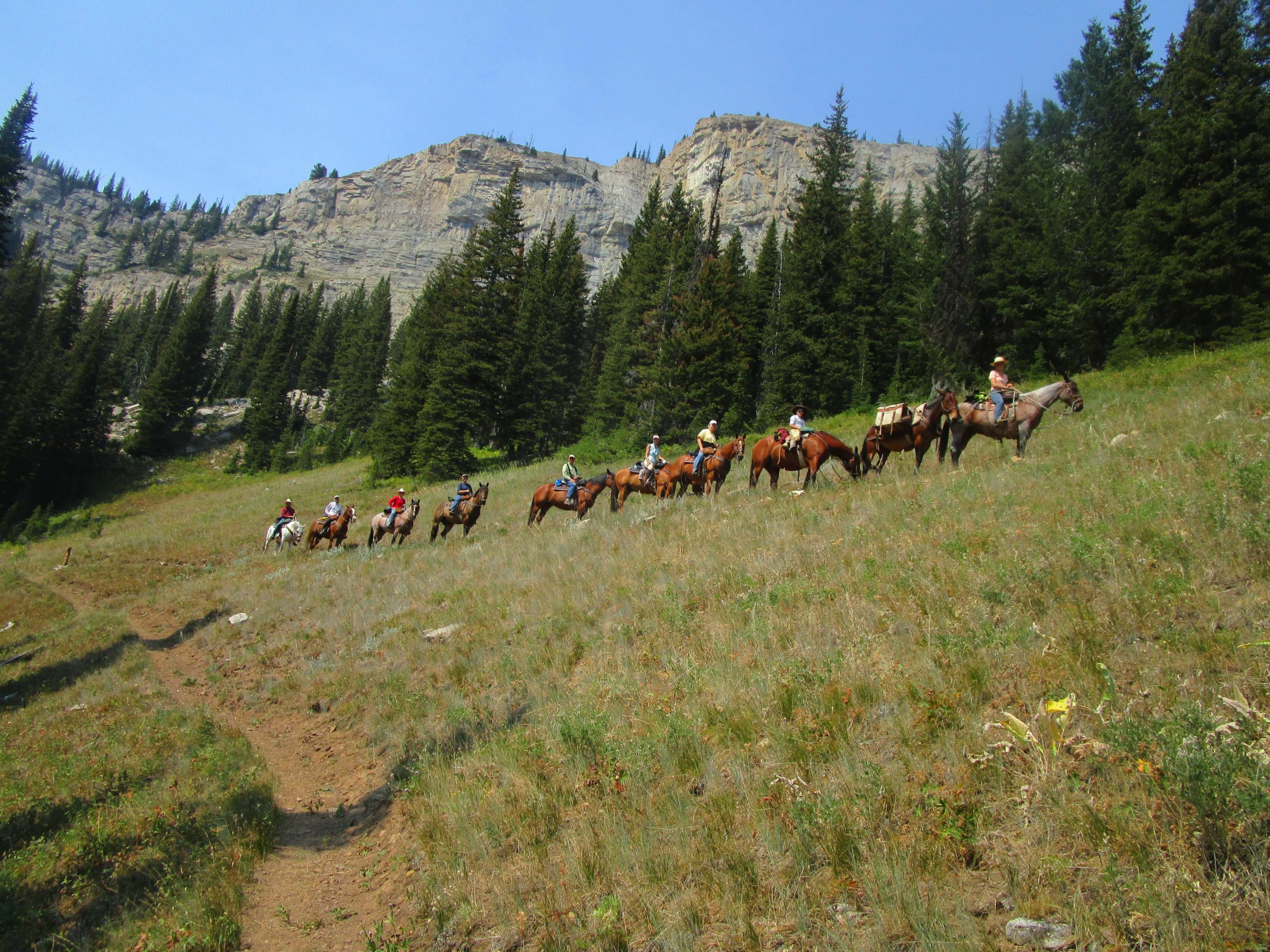 best horse pack trips