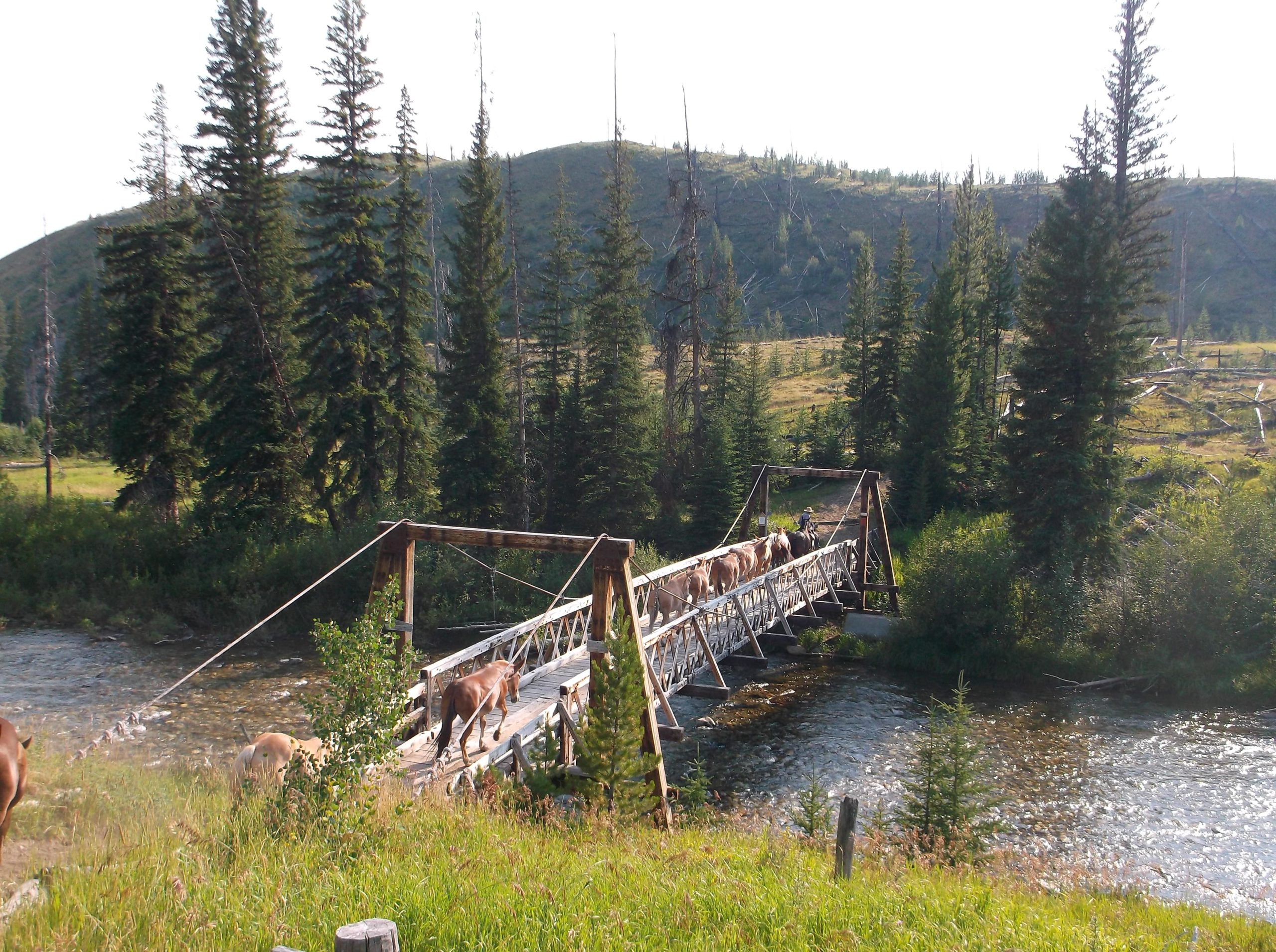 Bob Marshall Wilderness - Chinese Wall route explained 