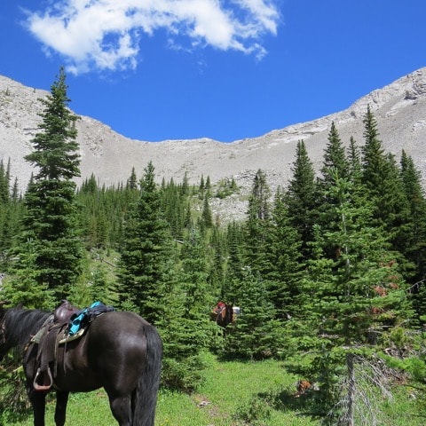 The Chinese Wall In Montana Is A Bucket List Worthy Hike With Epic