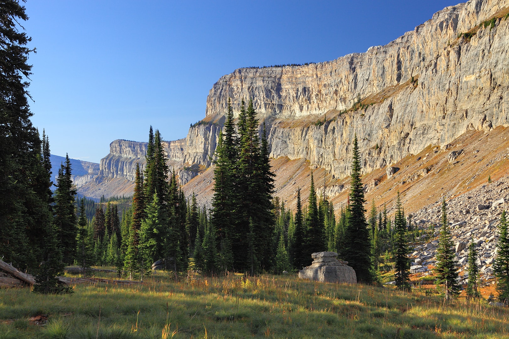 Best Chinese Wall Pack Trips Montana