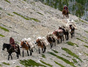 guided horseback hunting trips