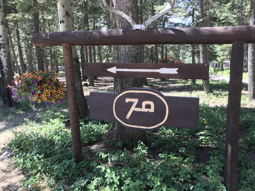 7 Lazy P is committed to delivering the best experience through our seasoned guides, trustworthy and experienced stock and our love of this place we call home.